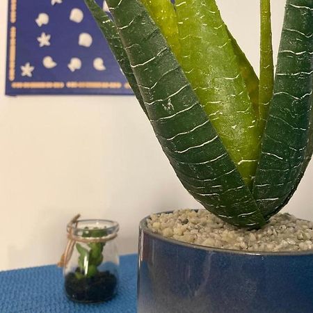 River'S Home Napoli Ngoại thất bức ảnh